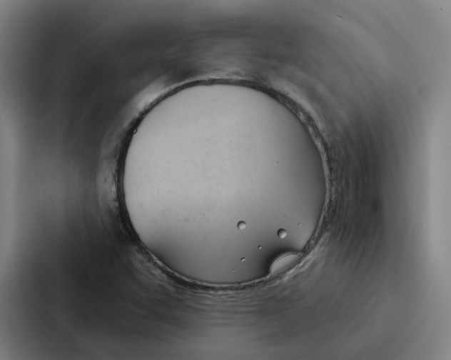 X0000086901455200705141633