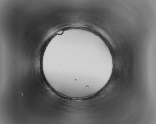 X0000086901456200705141633