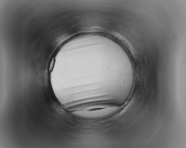 X0000086901457200705141633