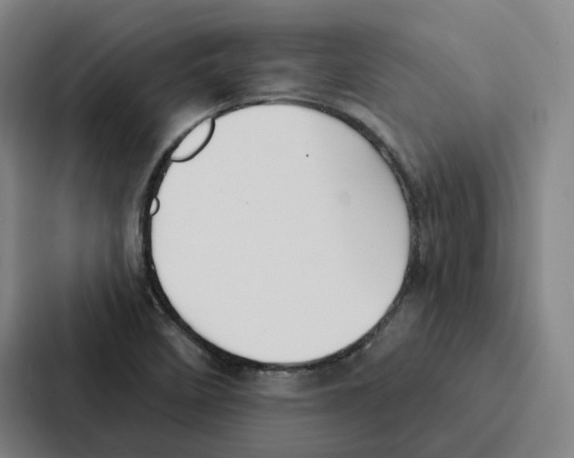 X0000086901458200705141633