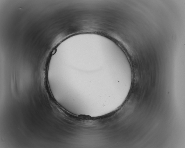 X0000086901459200705141633