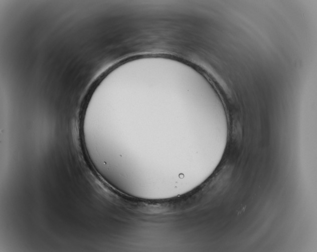 X0000086901460200705141633