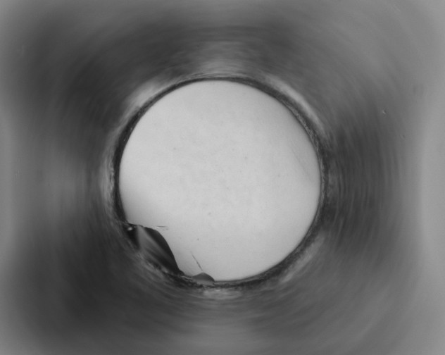 X0000086901461200705141633