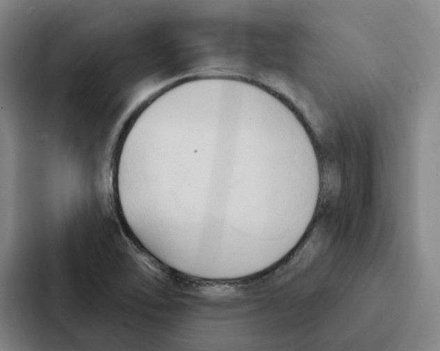 X0000086901462200705141633