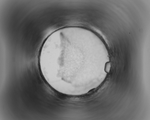 X0000086901463200705141633