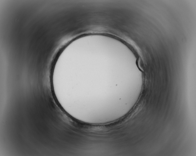 X0000086901464200705141633