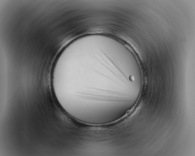 X0000086901465200705141633