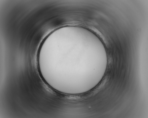 X0000086901466200705141633