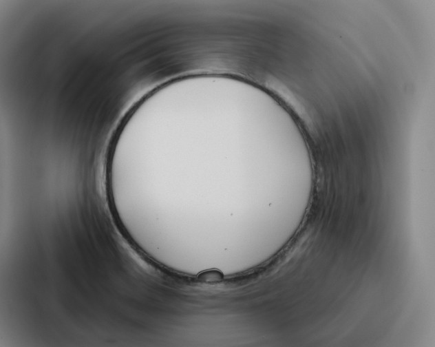 X0000086901468200705141633