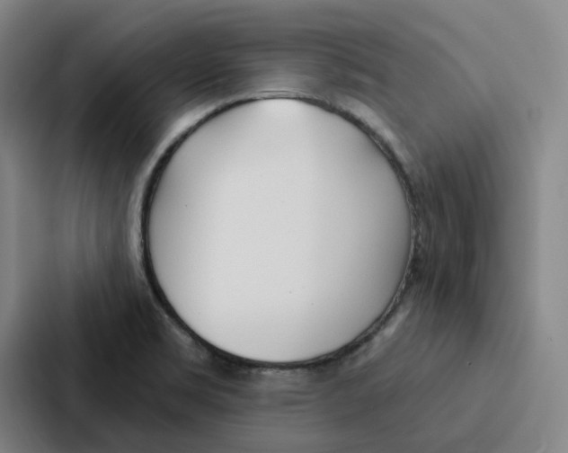 X0000086901469200705141633