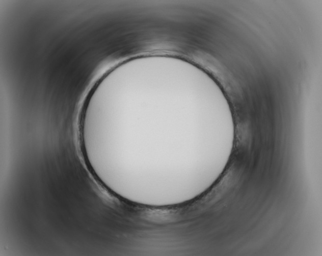 X0000086901470200705141633