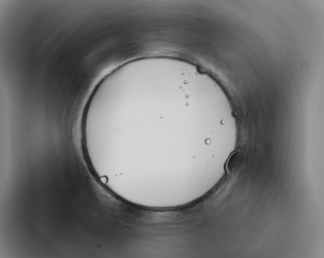 X0000086901471200705141633