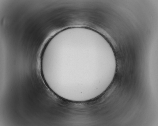 X0000086901472200705141633