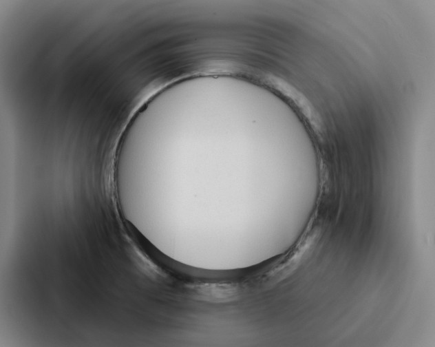 X0000086901473200705141633