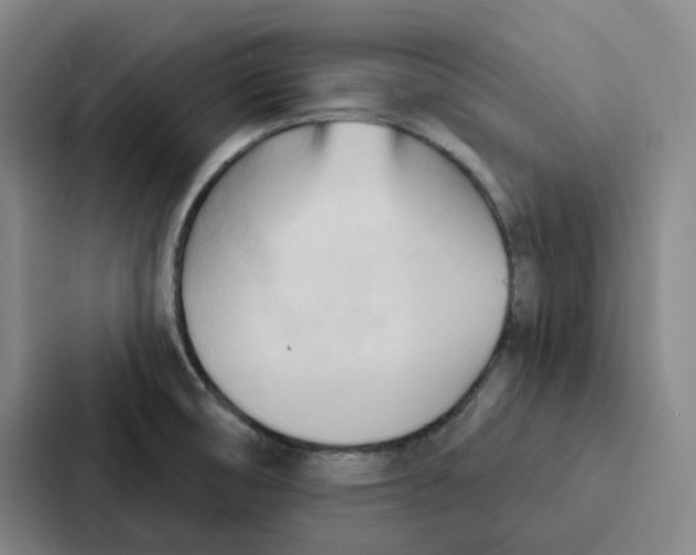 X0000086901474200705141633