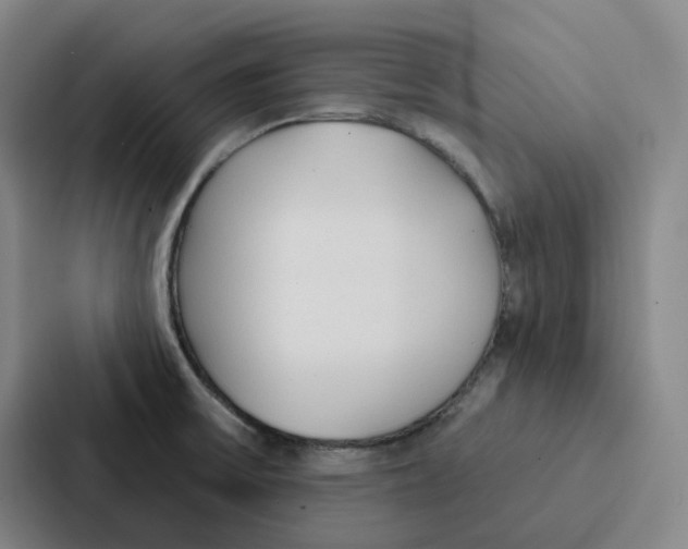 X0000086901475200705141633