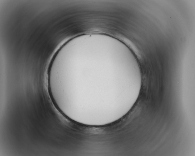 X0000086901476200705141633