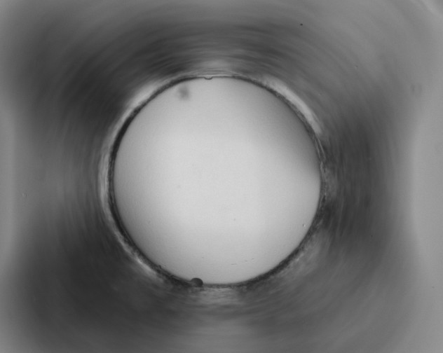 X0000086901477200705141633