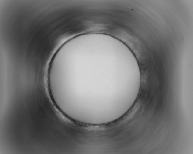 X0000086901478200705141633