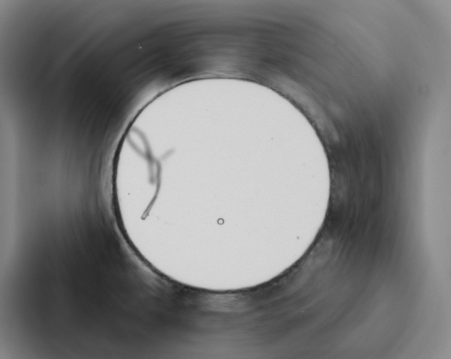 X0000086901479200705141633