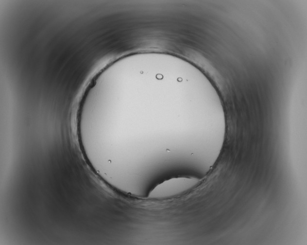 X0000086901480200705141633