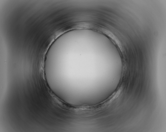 X0000086901481200705141632