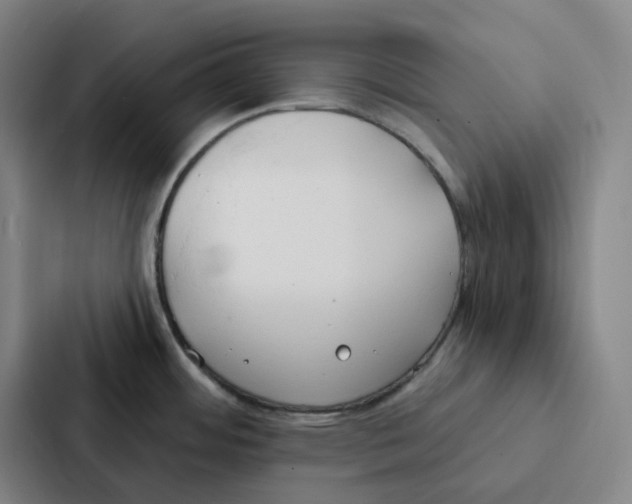 X0000086901484200705141632