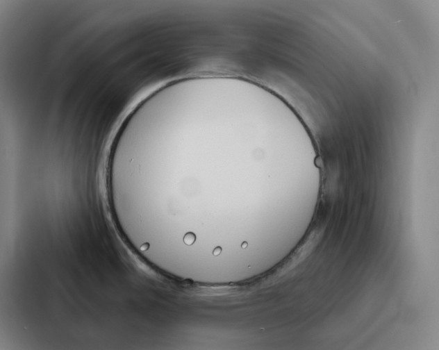 X0000086901486200705141632