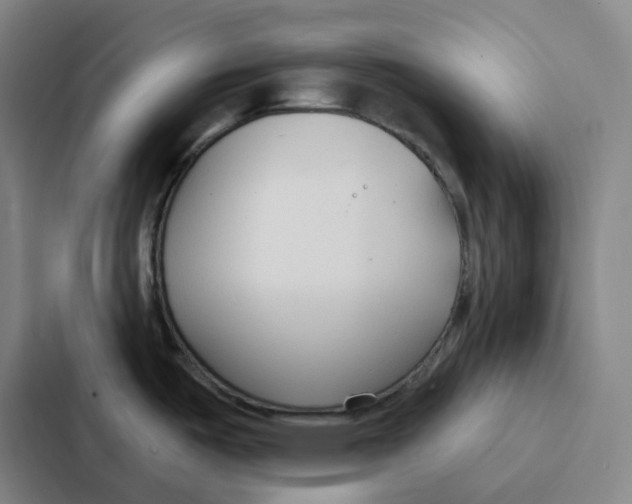 X0000086901487200705141632