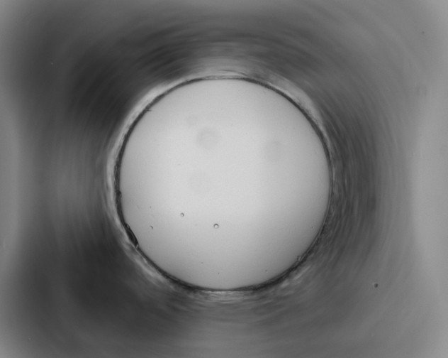 X0000086901488200705141632