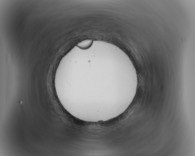 X0000086901489200705141632