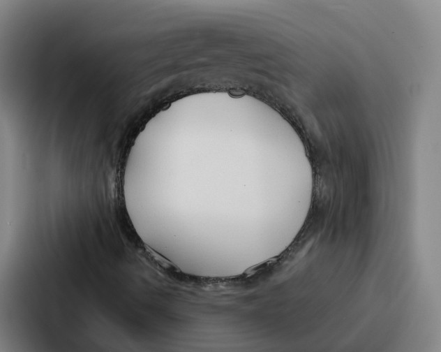 X0000086901490200705141632