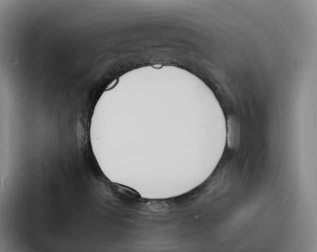 X0000086901491200705141632