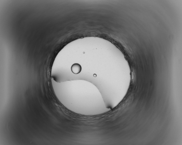 X0000086901492200705141632