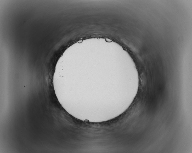 X0000086901495200705141632