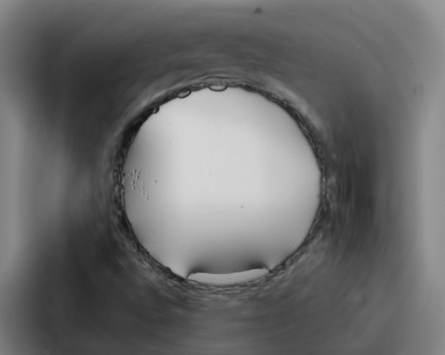 X0000086901496200705141632