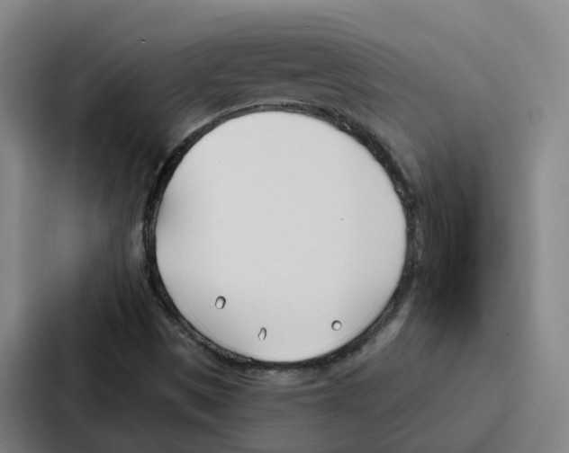 X0000086901497200705141632