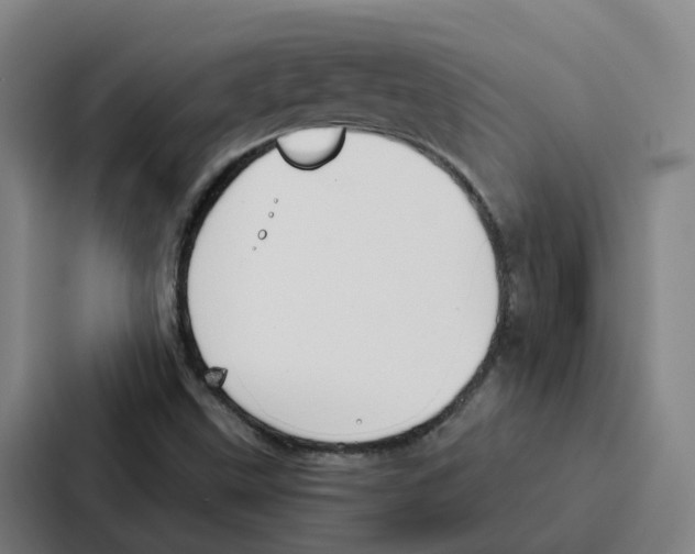 X0000086901499200705141632