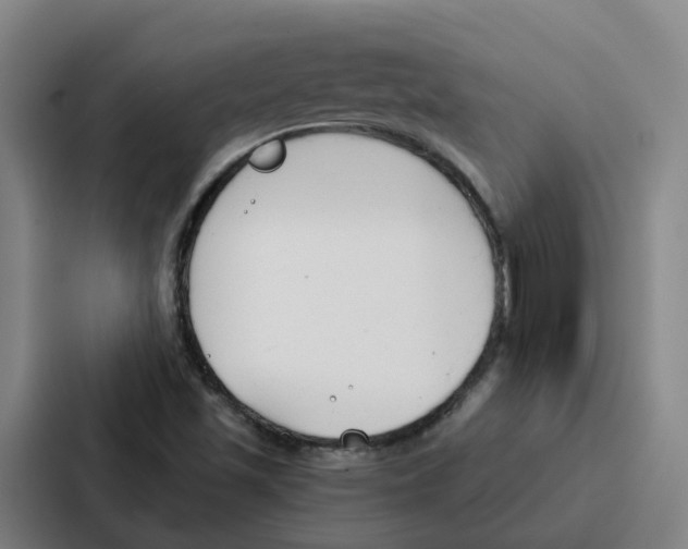 X0000086901501200705141632