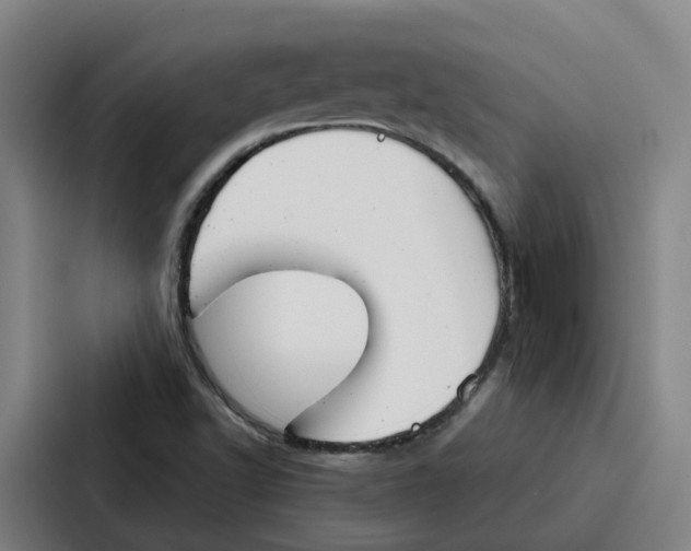 X0000086901502200705141632