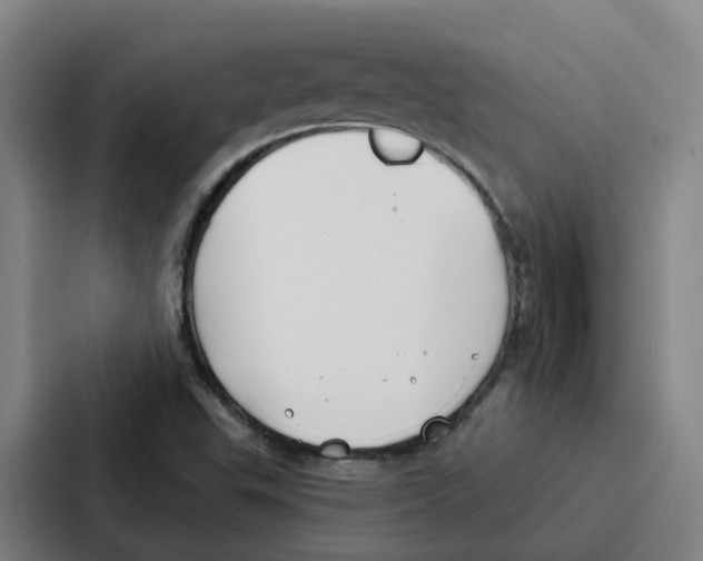 X0000086901503200705141632