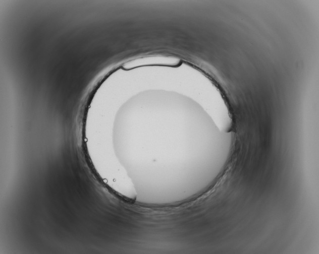 X0000086901504200705141632