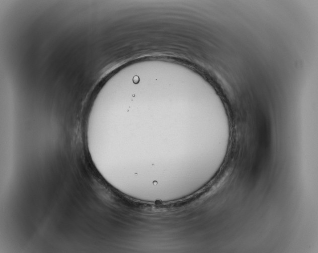 X0000086901505200705141632