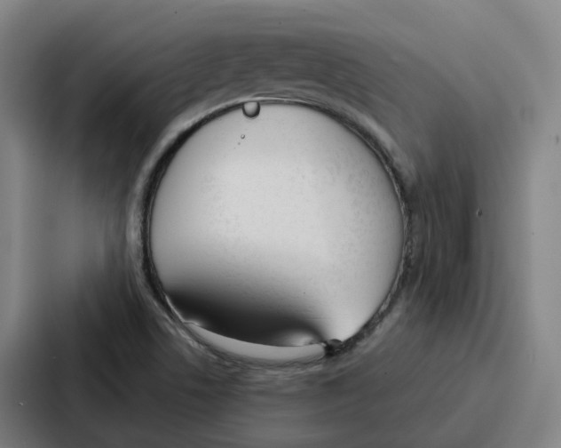 X0000086901506200705141632