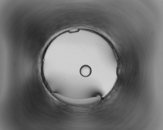 X0000086901508200705141632