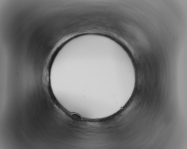 X0000086901509200705141632