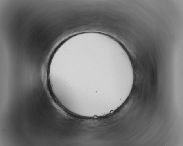 X0000086901511200705141632