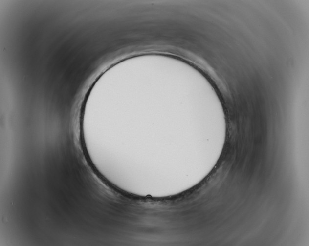 X0000086901512200705141632