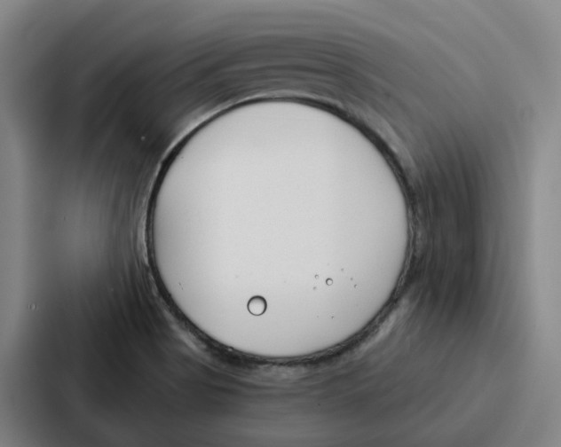 X0000086901513200705141632