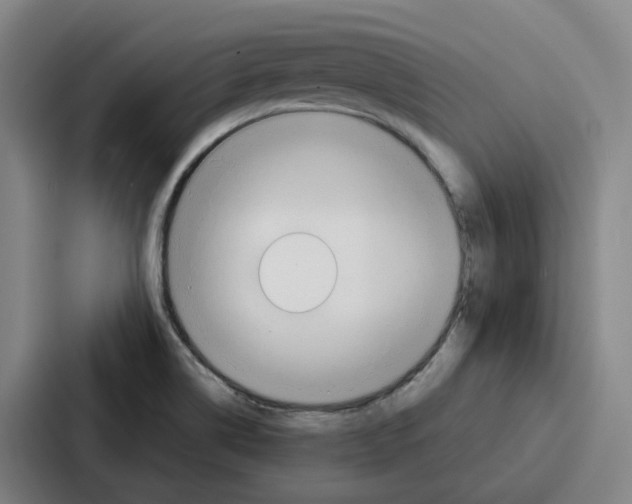 X0000086901514200705141632